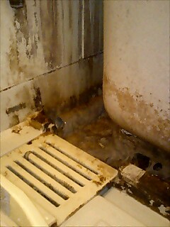 e0091220_19371084.jpg