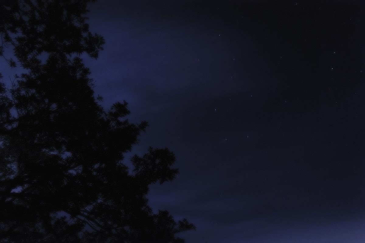 a0059621_1831498.jpg