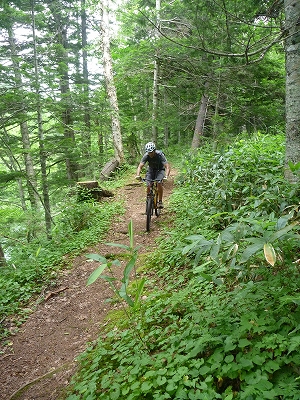 c0225621_17171236.jpg