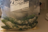 f0170524_12151925.jpg