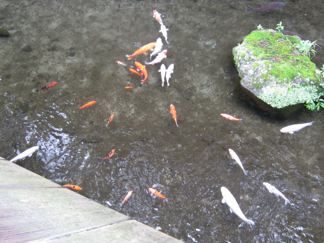 鬼怒川一泊ツーリング 下見編 その1_d0100125_14291640.jpg