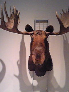 c0218031_9355250.jpg