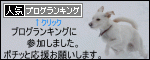 はじめてのピザ_b0135432_148156.gif