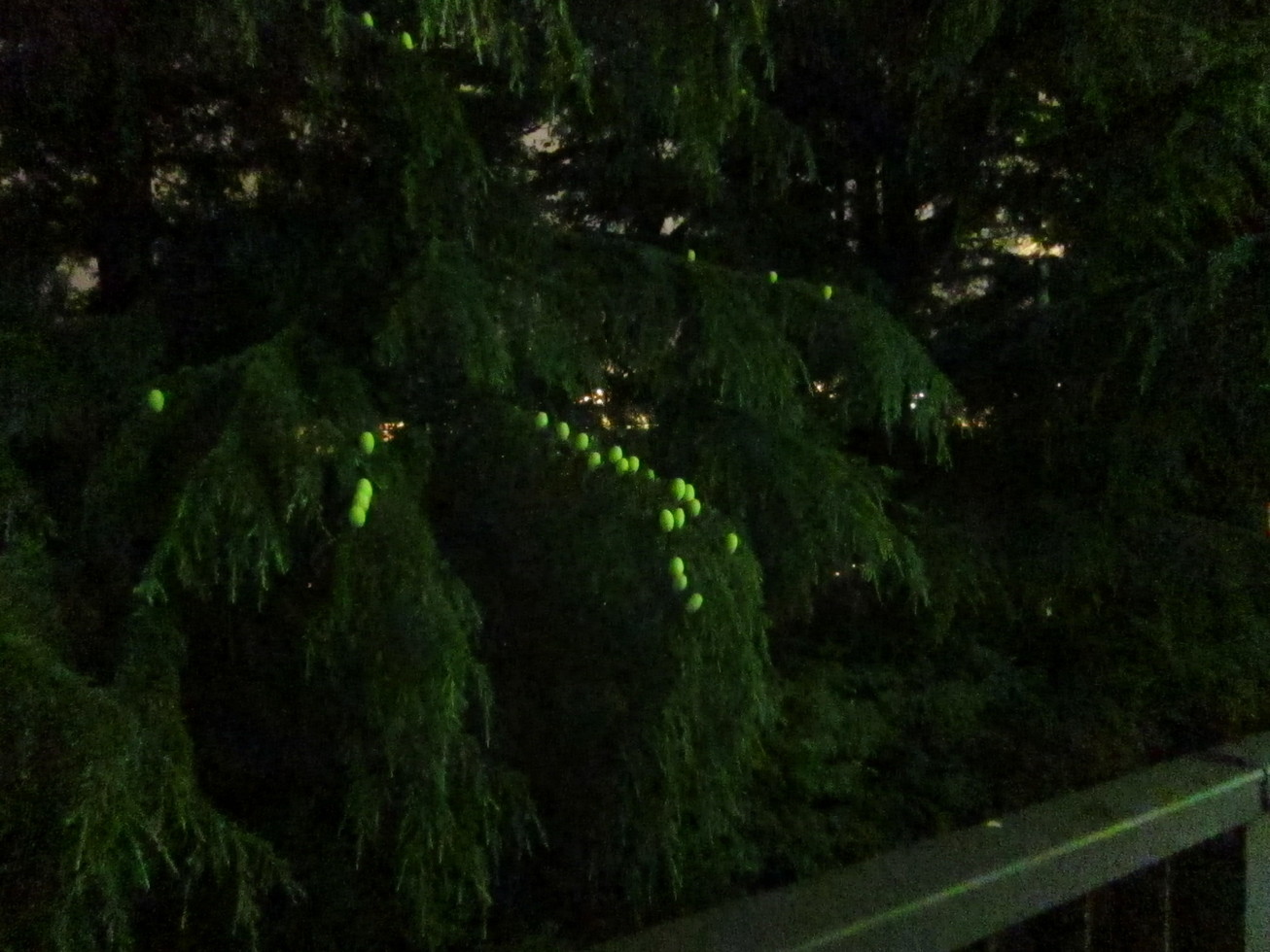 d0156438_04290.jpg