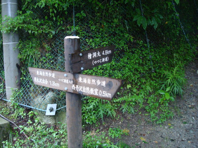 a0048040_21295060.jpg