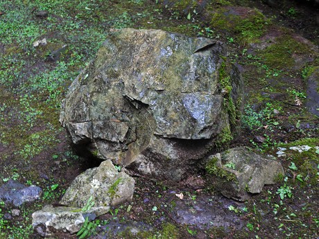 c0057946_20183266.jpg