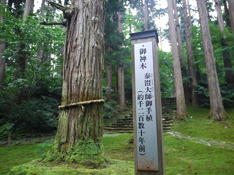 c0057946_20305751.jpg