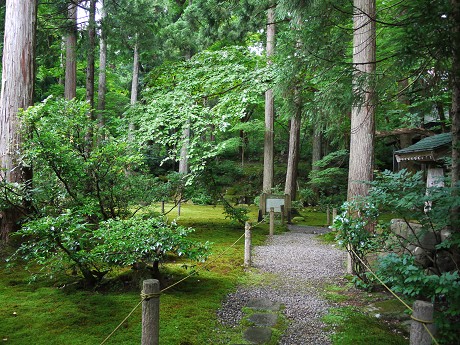 c0057946_20345041.jpg