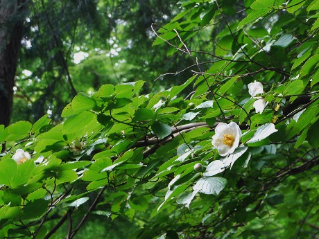 c0057946_2035619.jpg