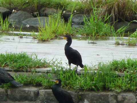 c0221349_14155542.jpg