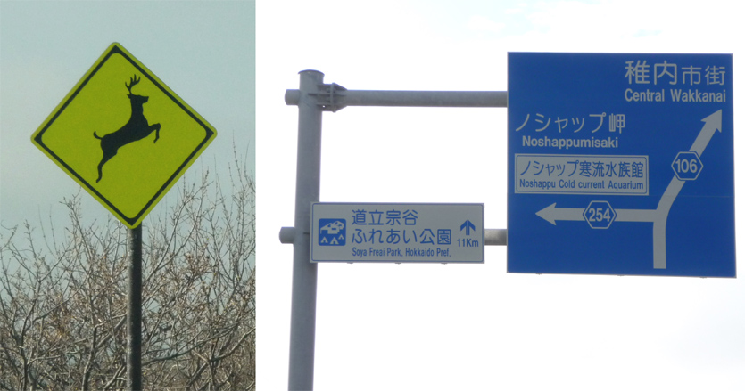 ★3日目6/1 JR車窓からの美しい風景を楽しみながら、北海道へ旅してきました♪♪ _c0156359_9512980.jpg