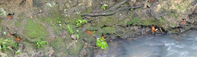 c0108460_18231396.jpg