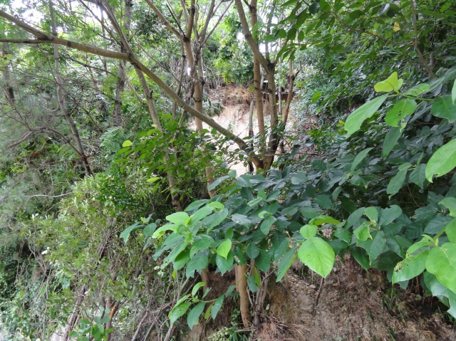 c0108460_18245471.jpg