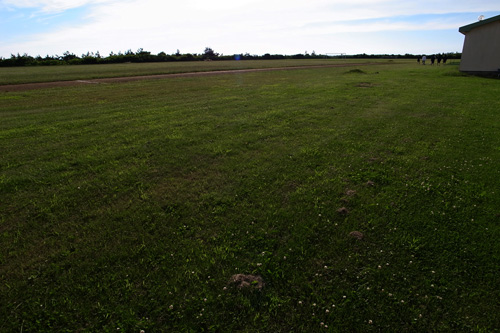 b0108779_22401655.jpg