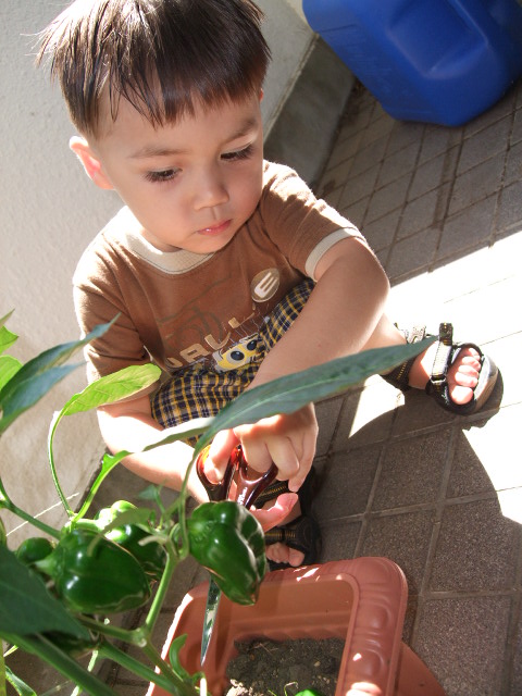 e0123680_16571736.jpg