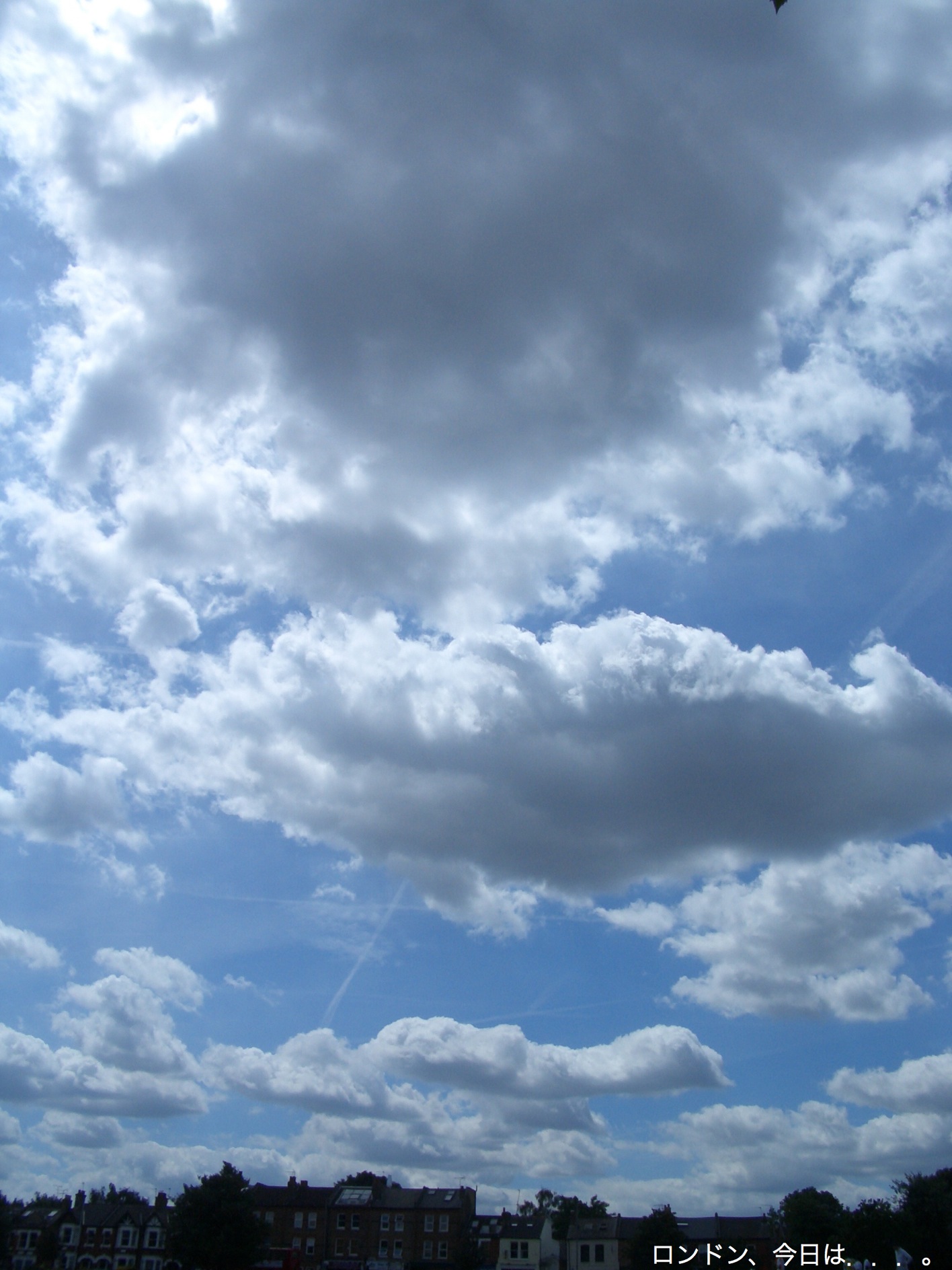 a0137487_1983953.jpg