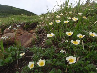 梅雨の晴れ間の西吾妻_a0096989_22235195.jpg