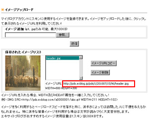 新スキンシリーズ「カスタマイズ」シリーズを追加しました_a0029090_1124484.jpg