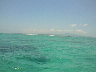 e0002690_10575232.jpg