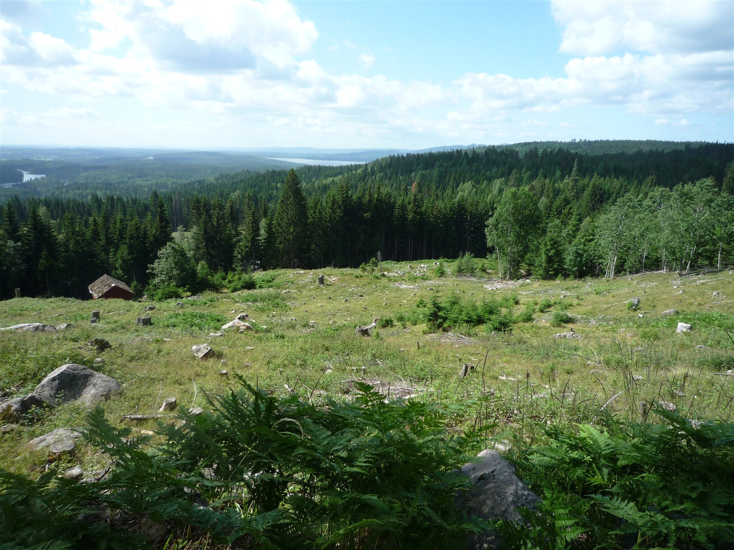 d0182292_23051.jpg