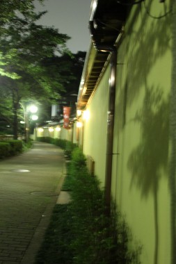 d0025894_8482894.jpg