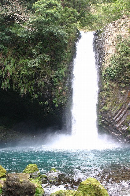 e0061694_4161319.jpg
