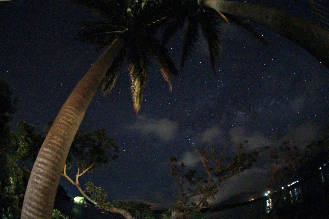 c0124795_838427.jpg