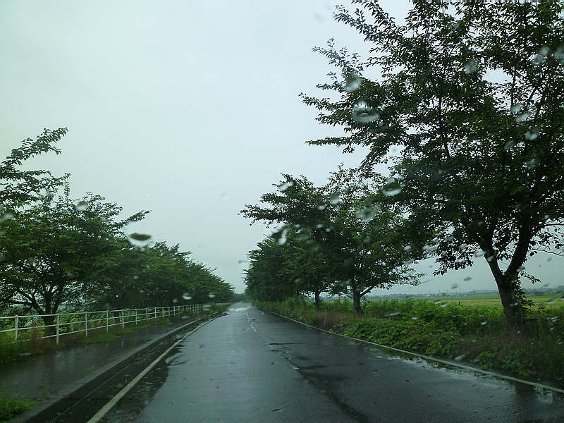 c0138198_13434580.jpg