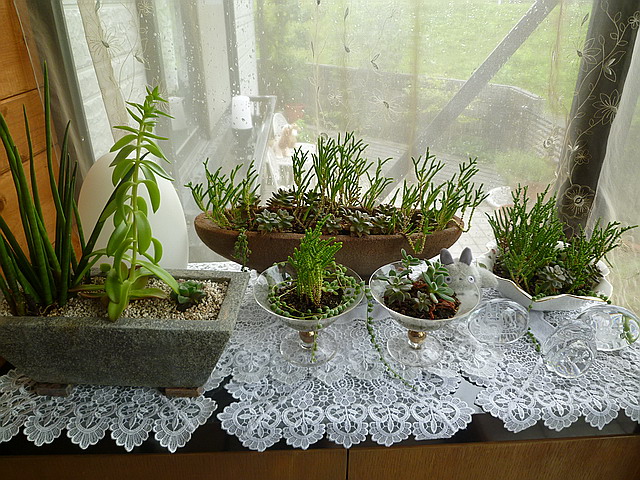c0138198_135036.jpg