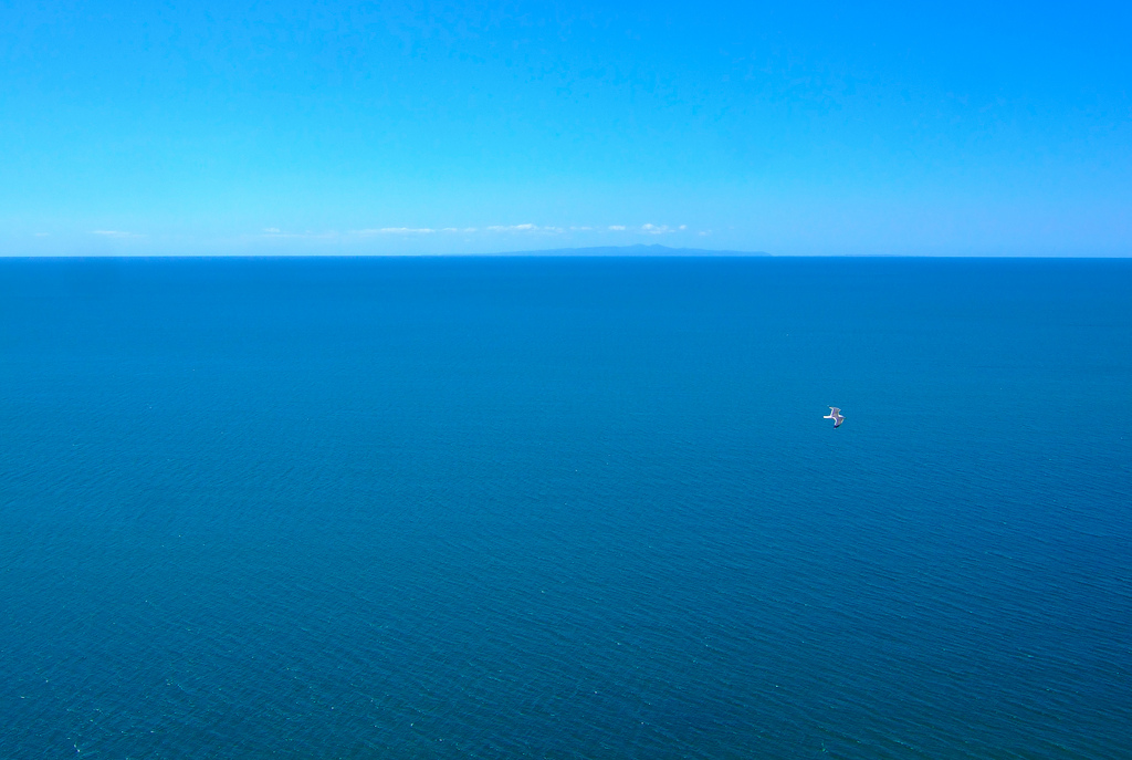 c0072801_1032362.jpg