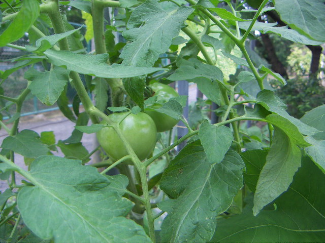 f0173908_1815488.jpg