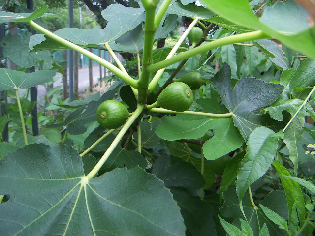 f0173908_18163472.jpg