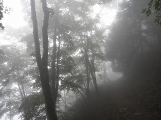 一人登山 「雲取山」_e0000910_11204384.jpg