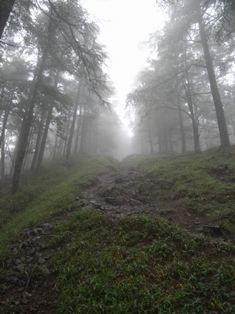 一人登山 「雲取山」_e0000910_11312862.jpg