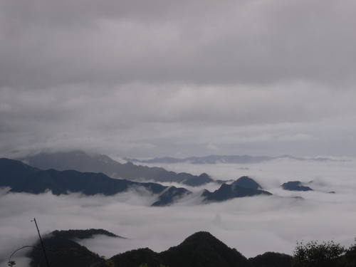 一人登山 「雲取山」_e0000910_1428277.jpg