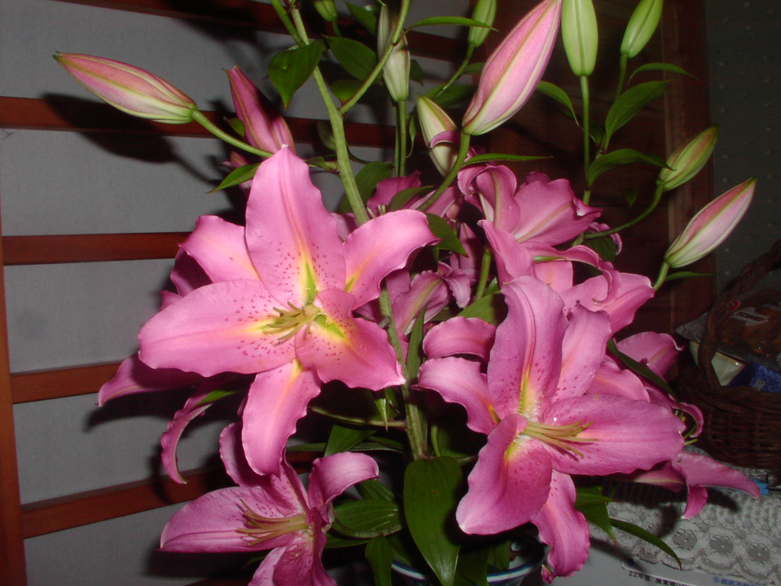 f0164410_14422884.jpg