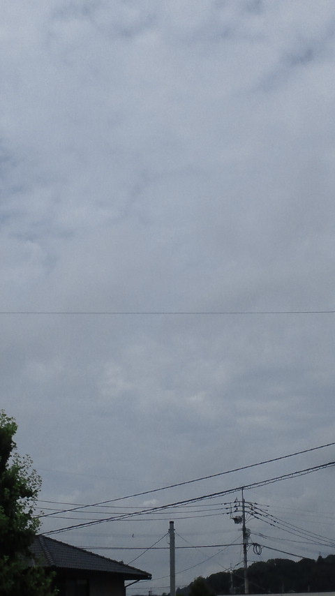午前中_d0150722_12204180.jpg