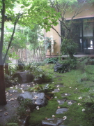 b0147224_17224799.jpg