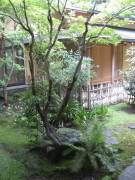 b0147224_1723335.jpg