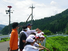 三つの小学校の子供達が大豆の土寄せをしました_e0061225_16521833.jpg