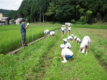 三つの小学校の子供達が大豆の土寄せをしました_e0061225_173272.jpg