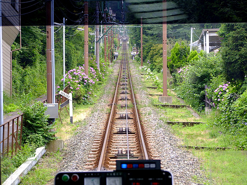 「箱根 直吉の湯葉丼」_a0000029_941680.jpg