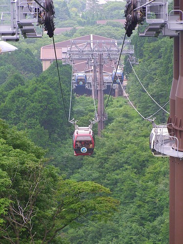 「箱根 直吉の湯葉丼」_a0000029_9454944.jpg