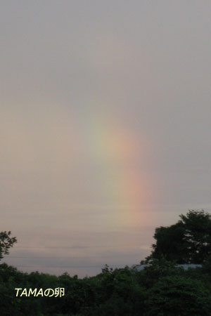 c0024729_20135515.jpg