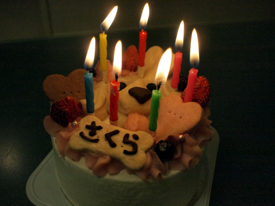 c0117831_2243415.jpg