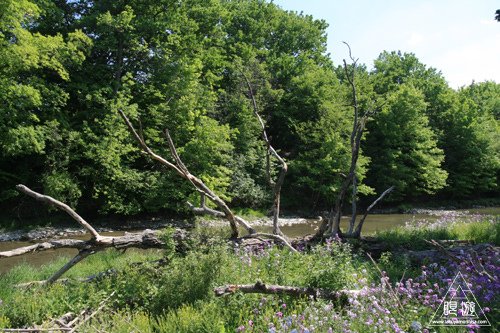 c0211532_1551763.jpg