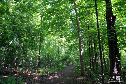 c0211532_219244.jpg