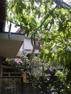 c0229032_1133254.jpg