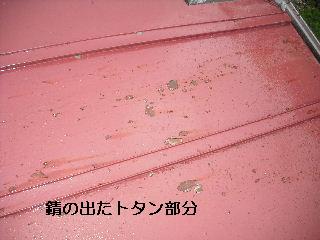 セメント瓦塗装工事 前工程・高圧洗浄_f0031037_18573646.jpg