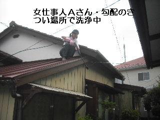 セメント瓦塗装工事 前工程・高圧洗浄_f0031037_18575240.jpg
